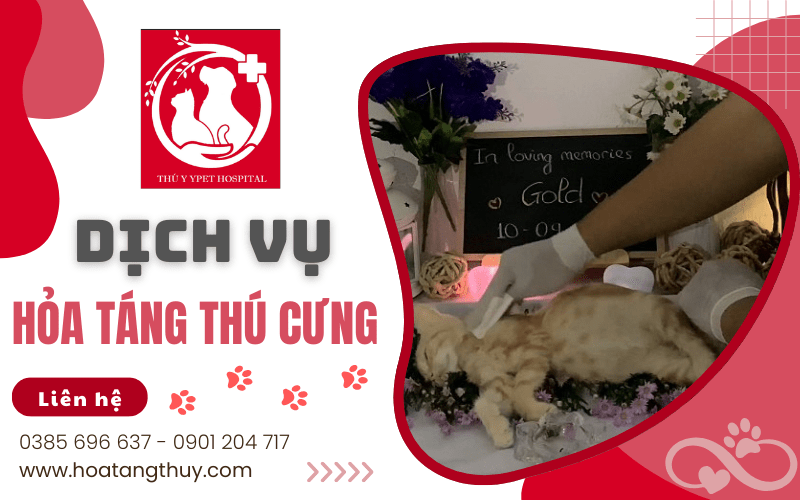 hỏa táng thú cưng