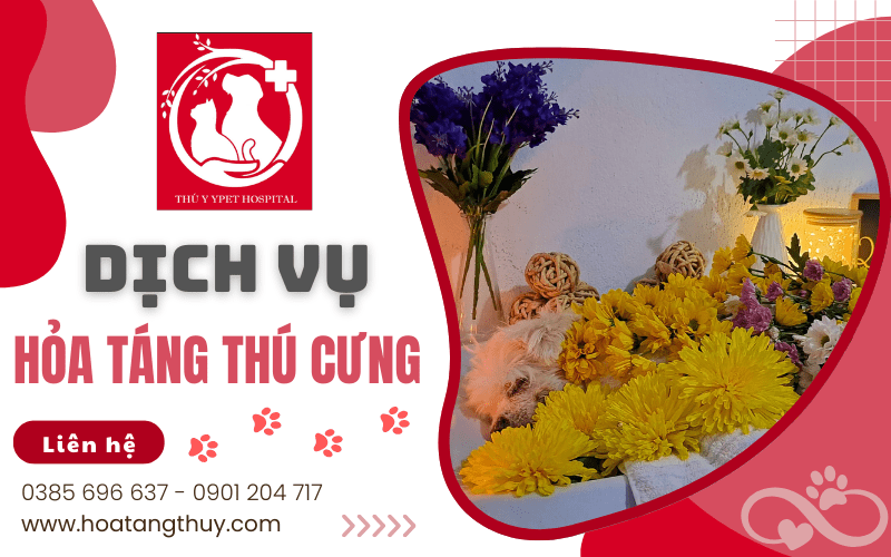 hỏa táng thú cưng