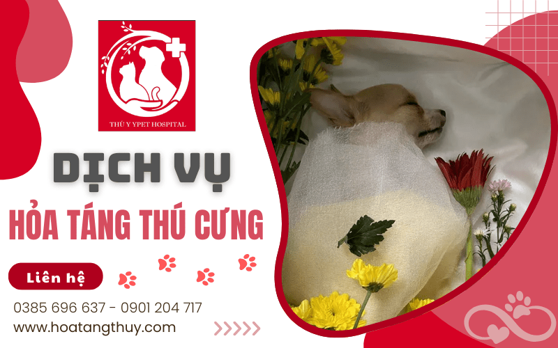 hỏa táng thú cưng