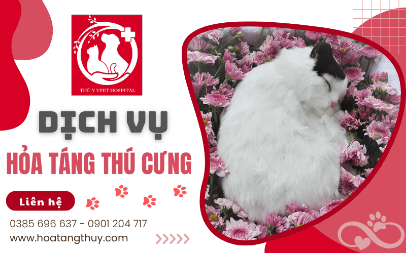 hỏa táng thú cưng