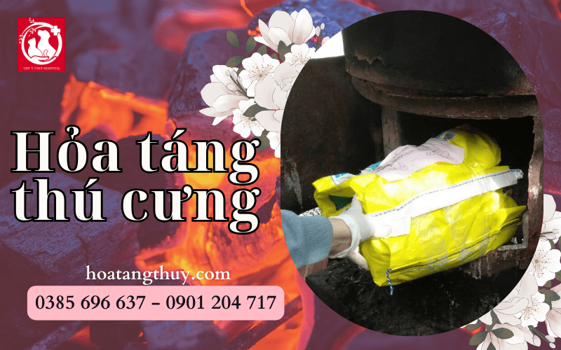 Hỏa táng thú cưng