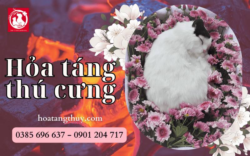 Hỏa táng thú cưng