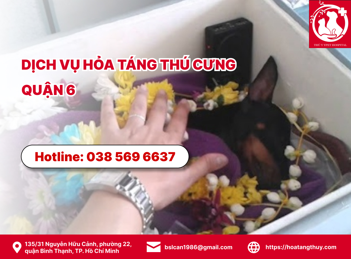 Dịch vụ hỏa táng thú cưng quận 6