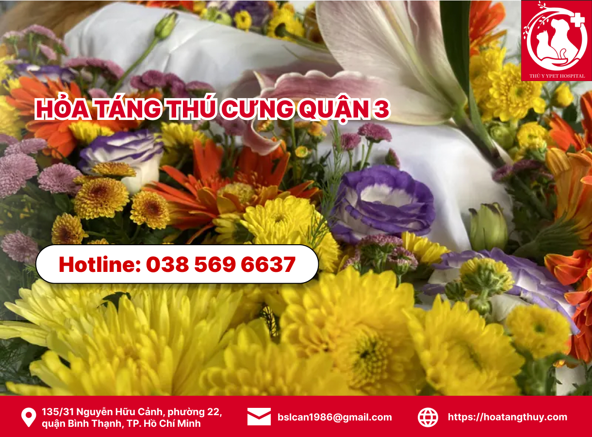 Hỏa táng thú cưng quận 3