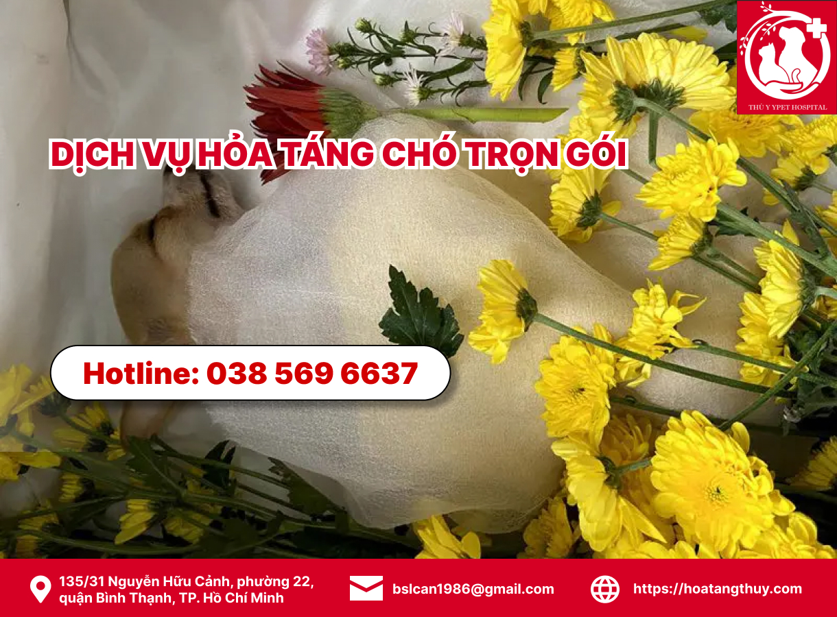 Dịch vụ hỏa táng chó trọn gói