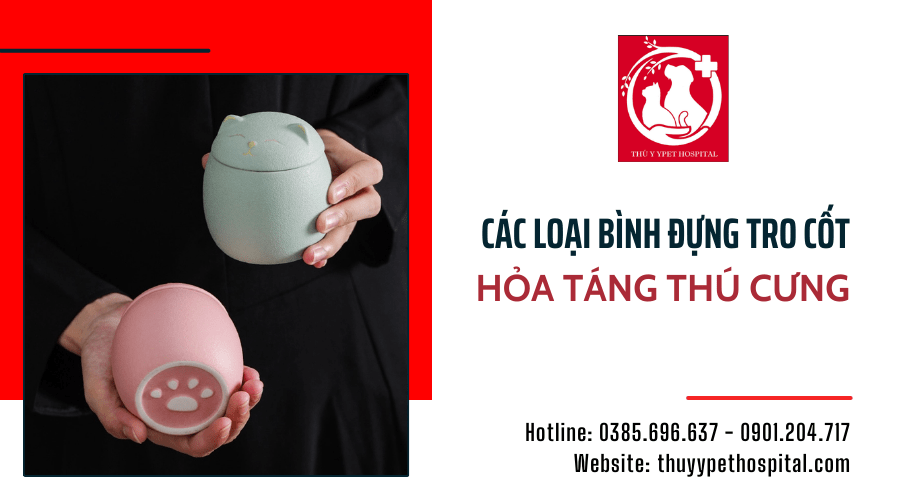 Tìm hiểu về các loại bình đựng tro cốt hỏa táng thú cưng