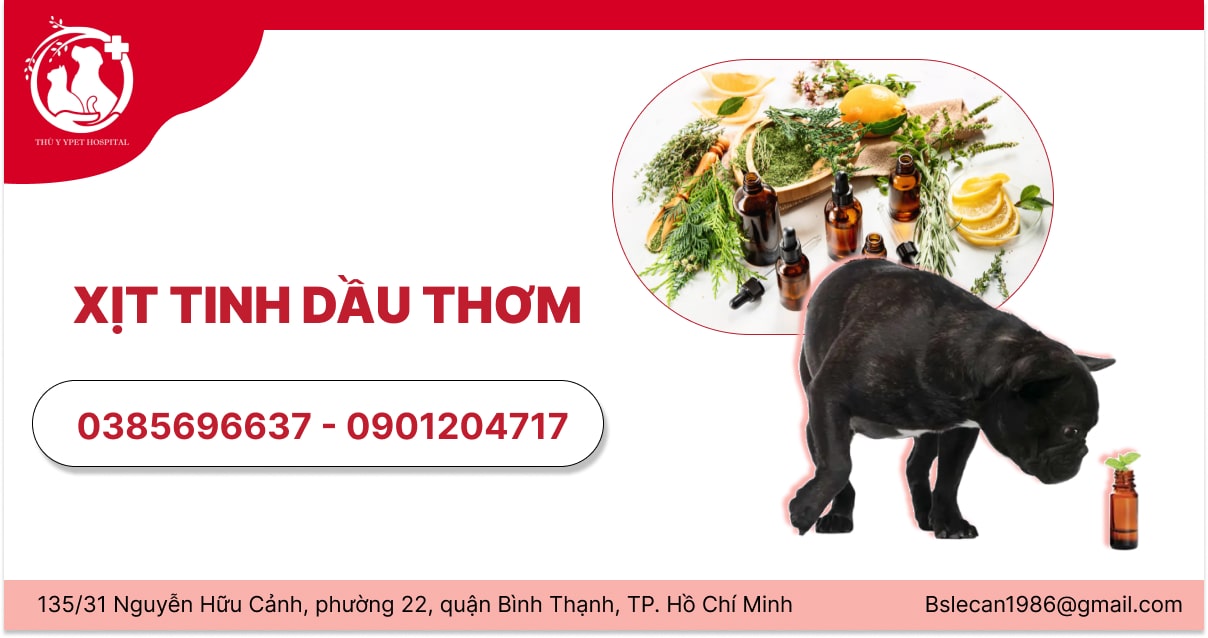 Xịt tinh dầu thơm