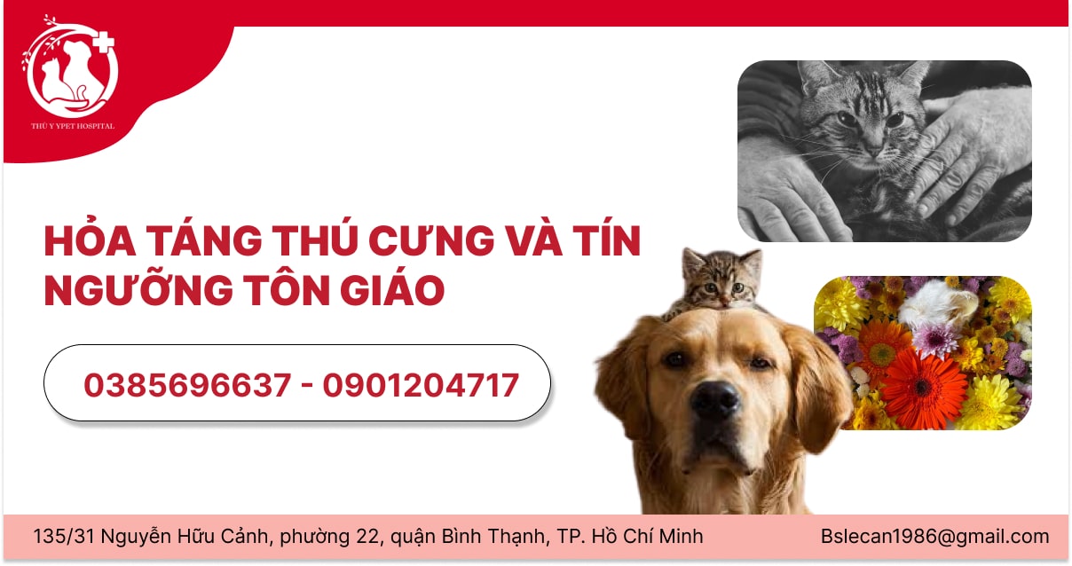 HỎA TÁNG THÚ CƯNG