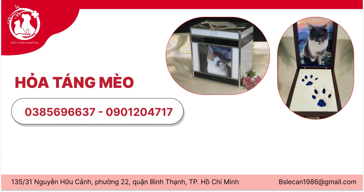 Hỏa táng mèo