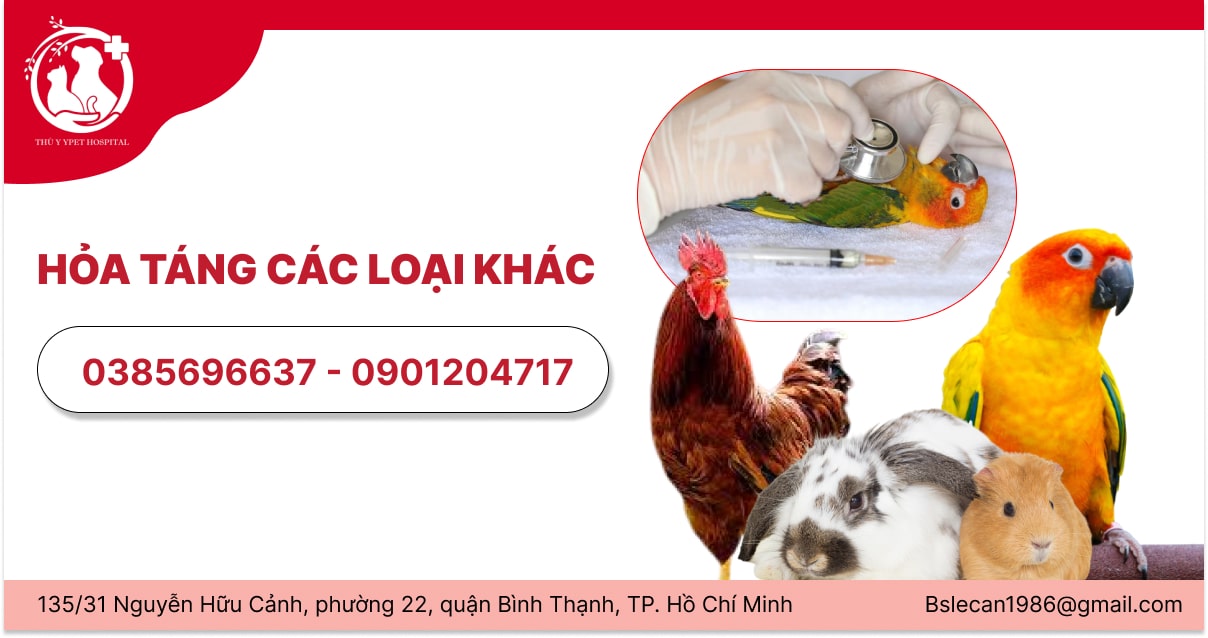 Hỏa táng các loại khác