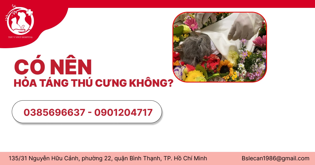 CÓ NÊN HỎA TÁNG THÚ CƯNG KHÔNG?