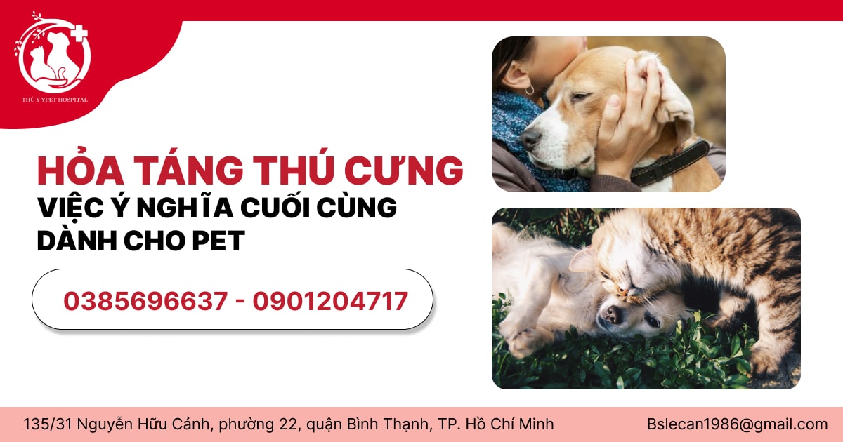 HỎA TÁNG THÚ CƯNG - VIỆC Ý NGHĨA CUỐI CÙNG DÀNH CHO PET