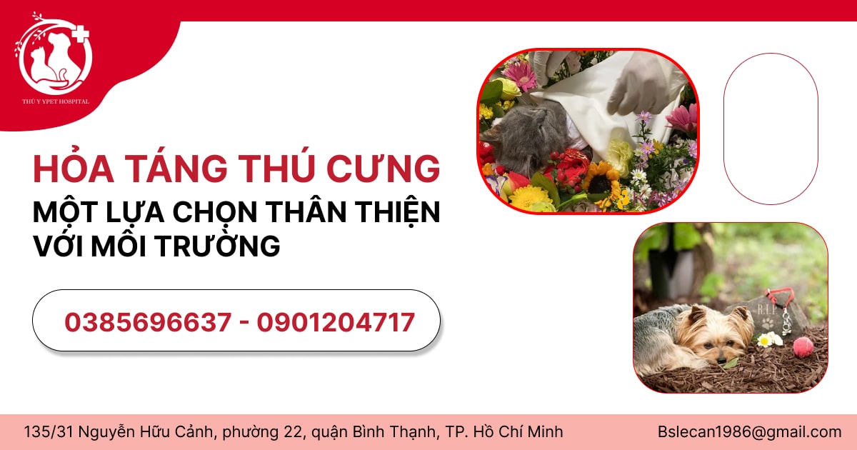 HỎA TÁNG THÚ CƯNG - MỘT LỰA CHỌN TH N THIỆN VỚI MÔI TRƯỜNG 