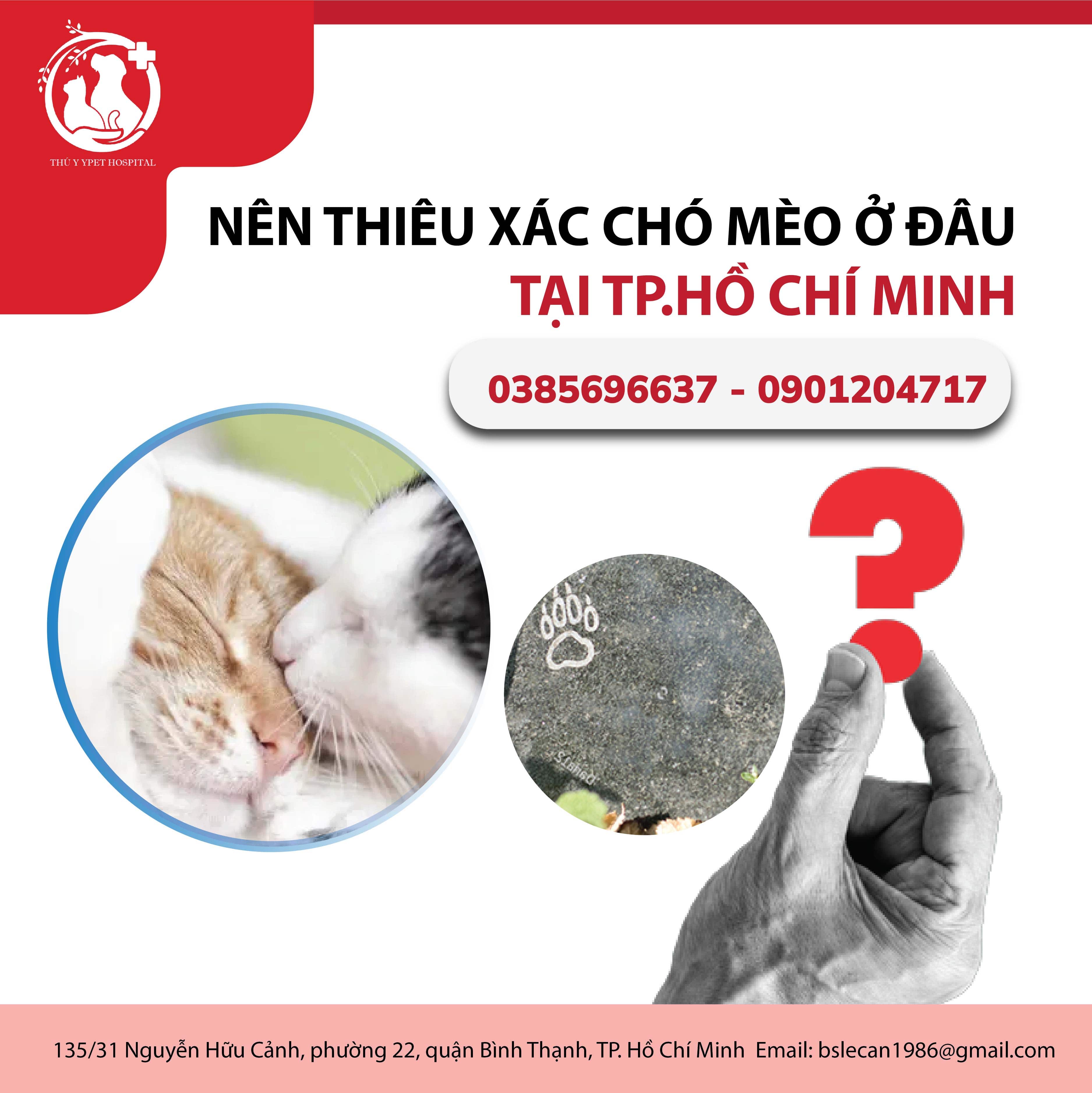 Nên thiêu xác chó mèo ở đâu tại Thành phố Hồ Chí Minh