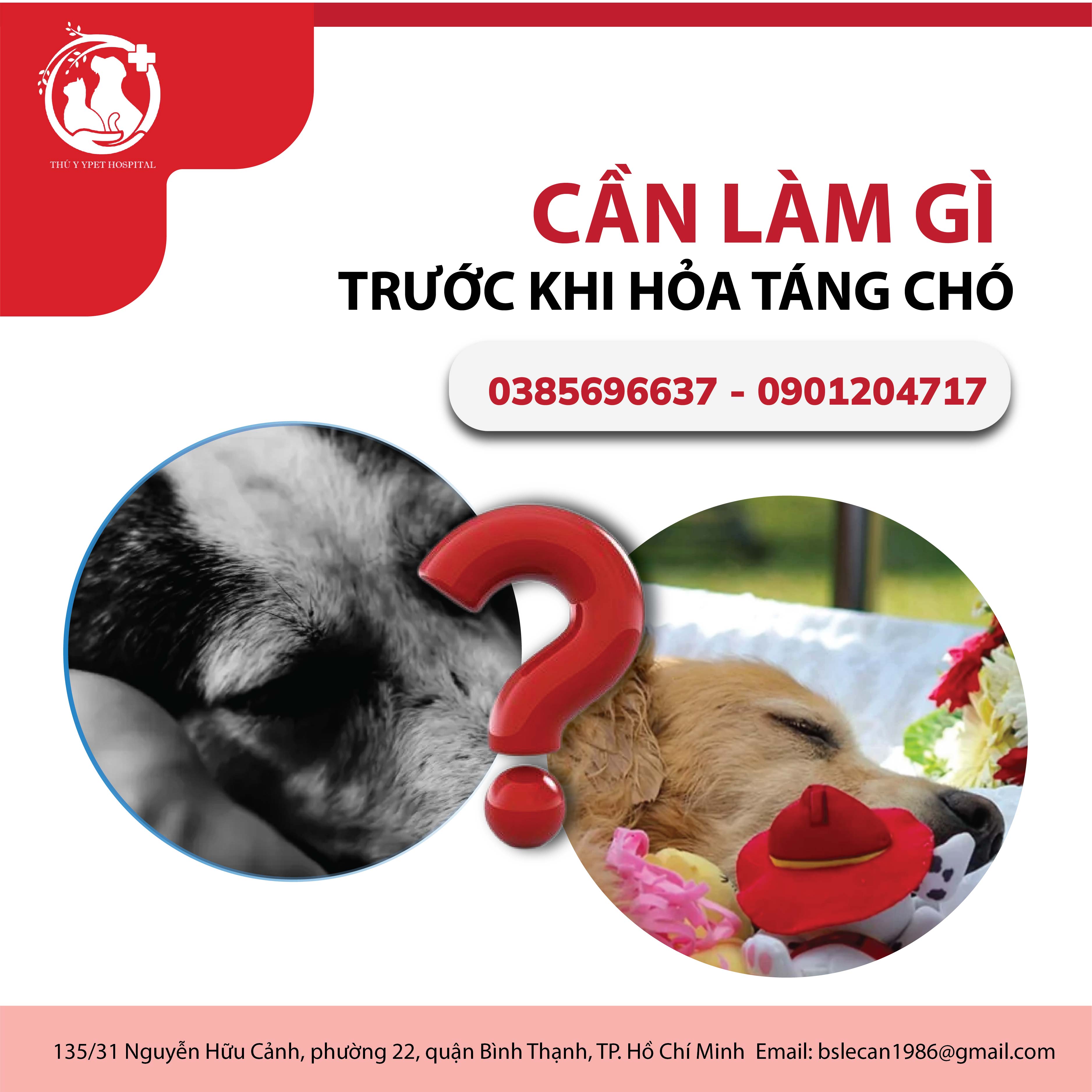 Cần làm gì trước khi hỏa táng chó